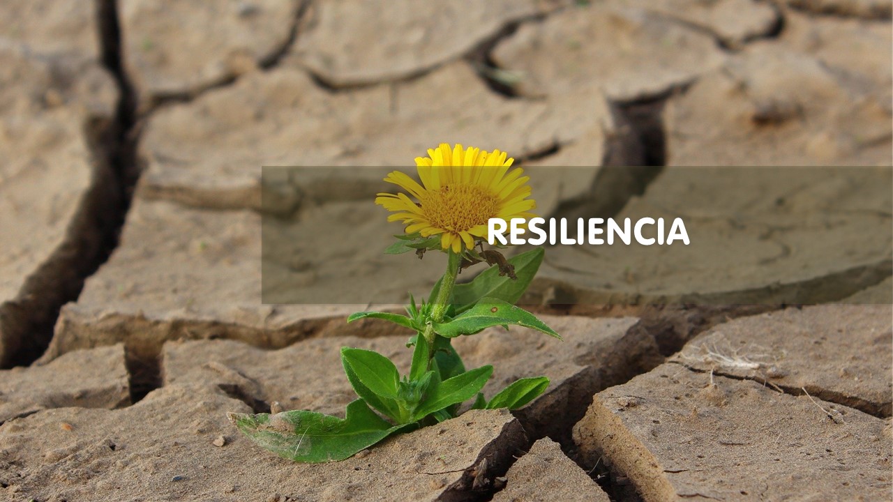 RESILIENCIA