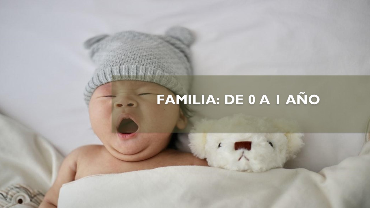 FAMILIA: DE 0 A 1 AÑO