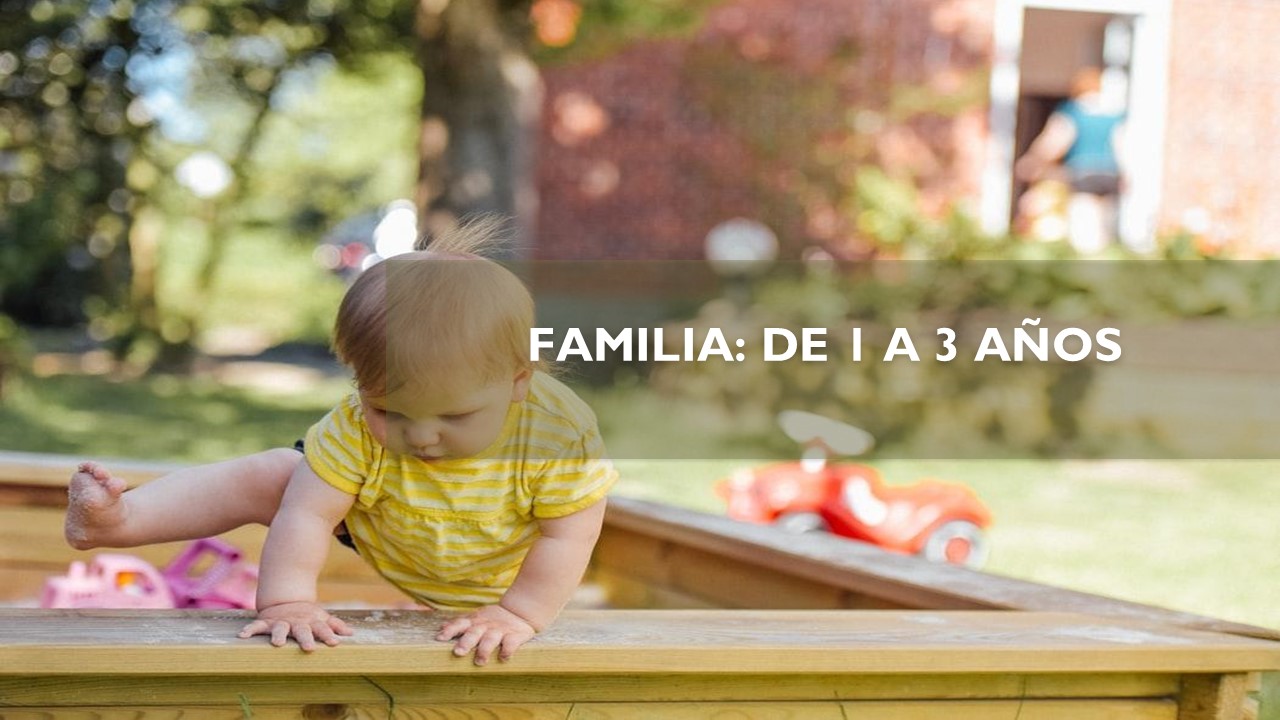 FAMILIA: DE 1 A 3 AÑOS